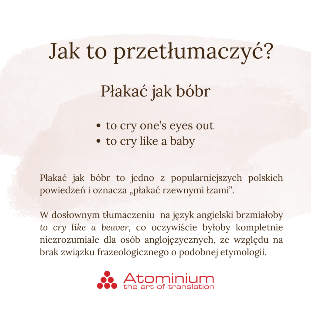 plakac-jak-bobr-jak-to-przetlumaczyc